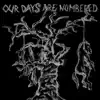 Our Days Are Numbered - Hung Like a Horse - EP